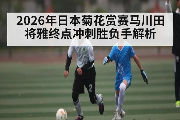 2026年日本菊花赏赛马川田将雅终点冲刺胜负手解析